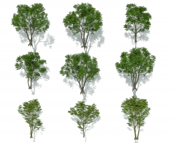 Modern Tree-ID:985220912