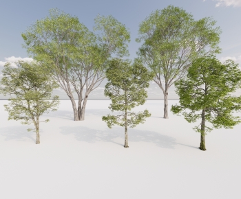 Modern Tree-ID:760900025