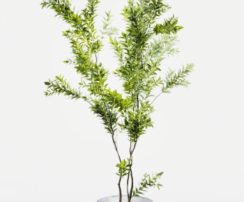 Modern Ground Green Plant Potted Plants-ID:948843006