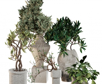 Modern Ground Green Plant Potted Plants-ID:189846041