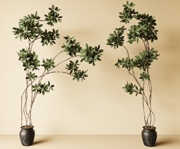 Modern Ground Green Plant Potted Plants-ID:706288835