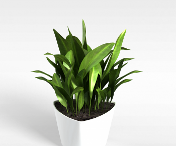 Modern Potted Green Plant-ID:791459085
