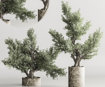 Modern Ground Green Plant Potted Plants-ID:237032899