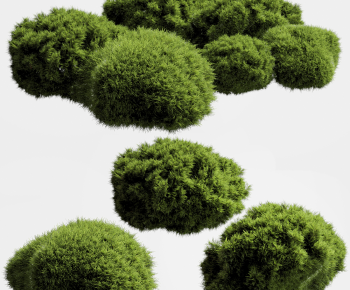 Modern Shrubbery-ID:420738949