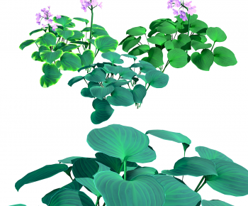 Modern Flowers And Grass-ID:570707086