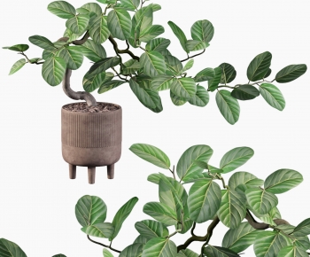 Modern Ground Green Plant Potted Plants-ID:789706959