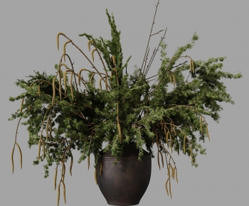Modern Potted Green Plant-ID:316281083