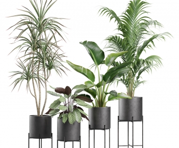 Modern Ground Green Plant Potted Plants-ID:986043939