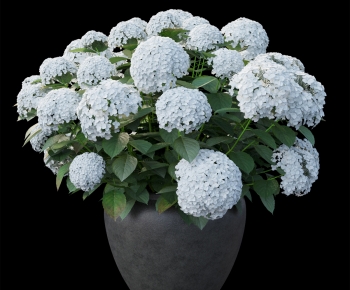 Modern Flower Arrangement-ID:288639079
