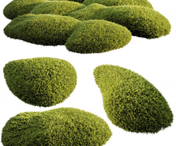 Modern Shrubbery-ID:667814978