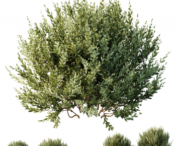 Modern Shrubbery-ID:426649096