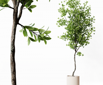 Modern Ground Green Plant Potted Plants-ID:289171937