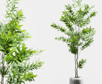 Modern Ground Green Plant Potted Plants-ID:910557993