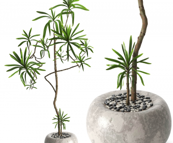 Modern Ground Green Plant Potted Plants-ID:646516081