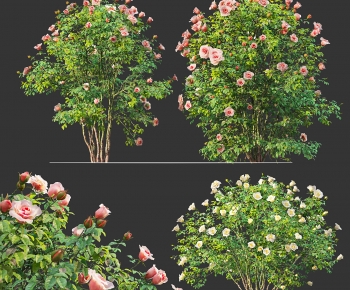 Modern Shrubbery-ID:902343996