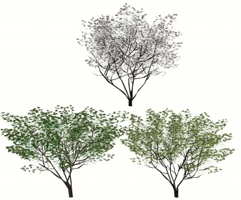 Modern Tree-ID:586435089