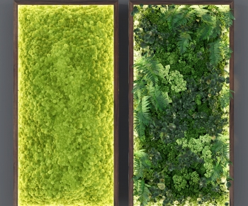 Modern Plant Wall-ID:927392968