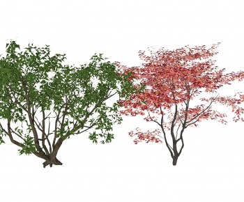 Modern Tree-ID:392360935