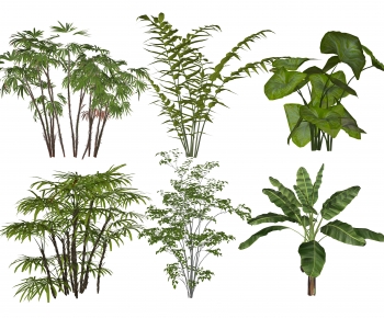 Modern Tree-ID:488929996