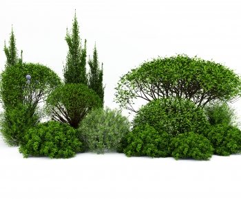 Modern Plant Pile-ID:204603913