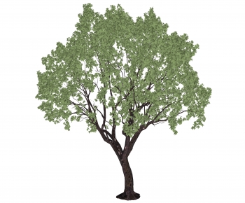 Modern Tree-ID:612703085