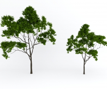 Modern Tree-ID:628456127