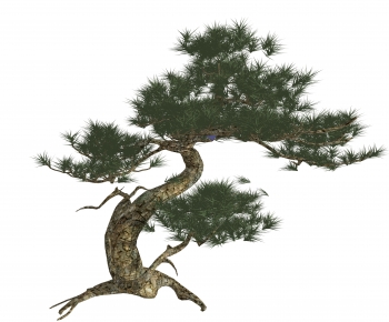 Modern Tree-ID:398762948