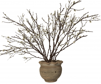 Wabi-sabi Style Potted Green Plant-ID:623244052