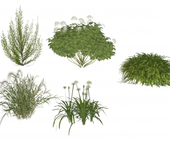 Modern Shrubbery-ID:208467961