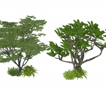 Modern Tree-ID:860719921