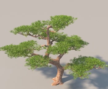 Modern Tree-ID:834661011