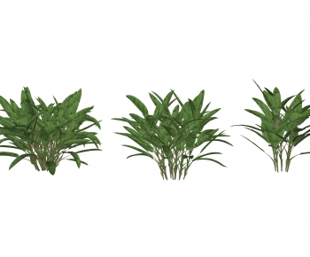 Modern Shrubbery-ID:426665075