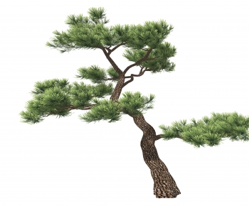 Modern Tree-ID:981973897