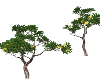 Modern Tree-ID:282197956