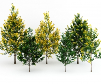 Modern Tree-ID:307317978