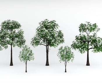 Modern Tree-ID:997356895