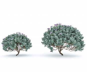 Modern Shrubbery-ID:369968892