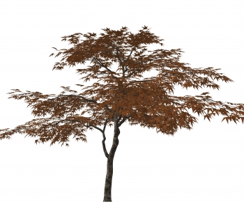 Modern Tree-ID:668490896