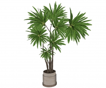 Modern Ground Green Plant Potted Plants-ID:812573912