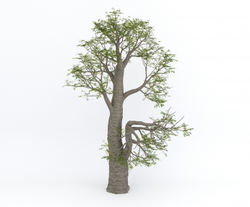 Modern Tree-ID:100378996
