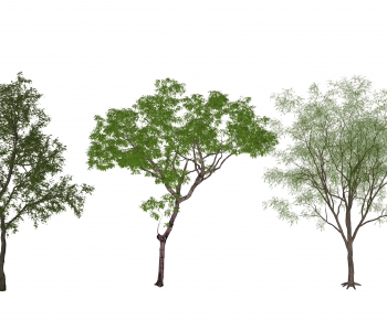 Modern Tree-ID:751980077