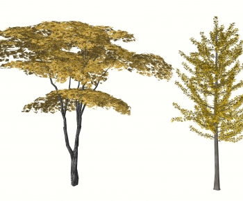 Modern Tree-ID:361684089