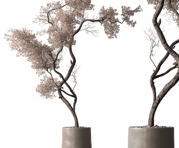 Modern Ground Green Plant Potted Plants-ID:549293995