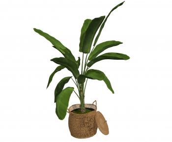 Modern Ground Green Plant Potted Plants-ID:362394097
