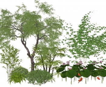 Modern Plant Pile-ID:988250972