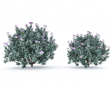 Modern Shrubbery-ID:140536076