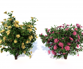 现代灌木绿植组合-ID:184891949