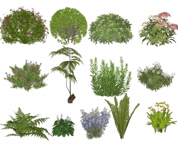 Modern Shrubbery-ID:221478989