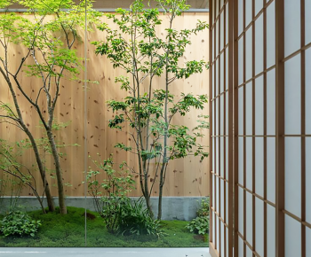 Modern Plant Landscaping-ID:267435079