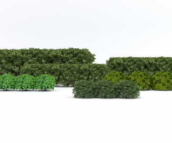 现代灌木绿植组合-ID:496294983